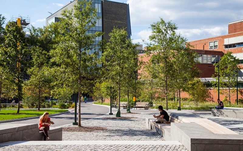 Shoemaker Green SITES